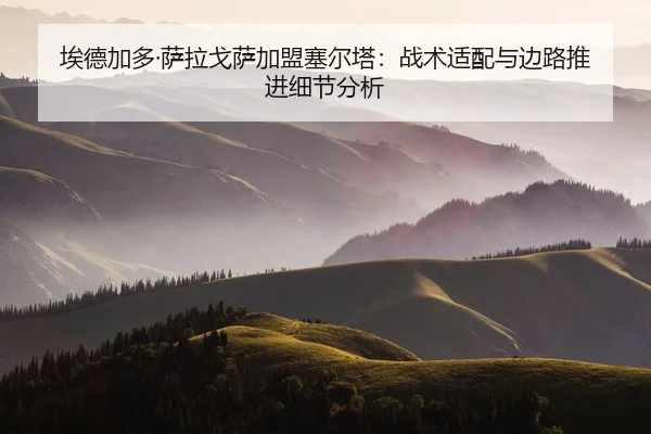 埃德加多·萨拉戈萨加盟塞尔塔：战术适配与边路推进细节分析
