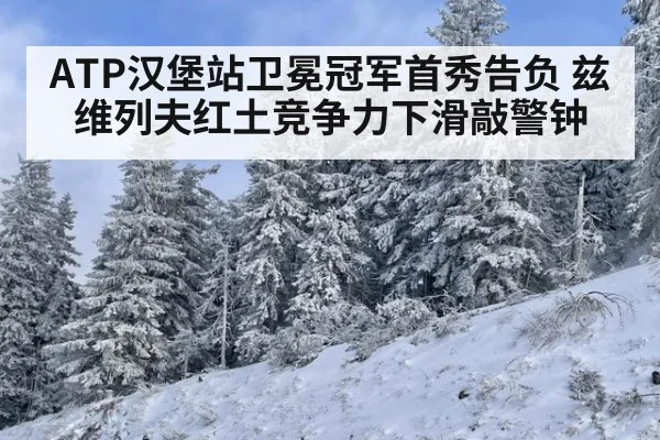 ATP汉堡站卫冕冠军首秀告负 兹维列夫红土竞争力下滑敲警钟